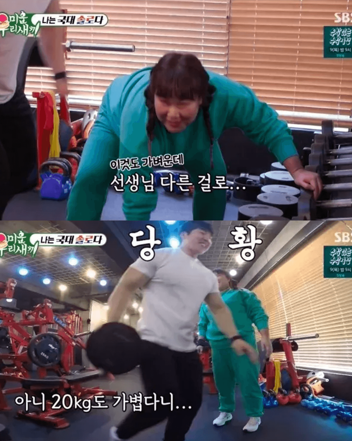 타고난 근수저 민경장군 덤벨 40KG
