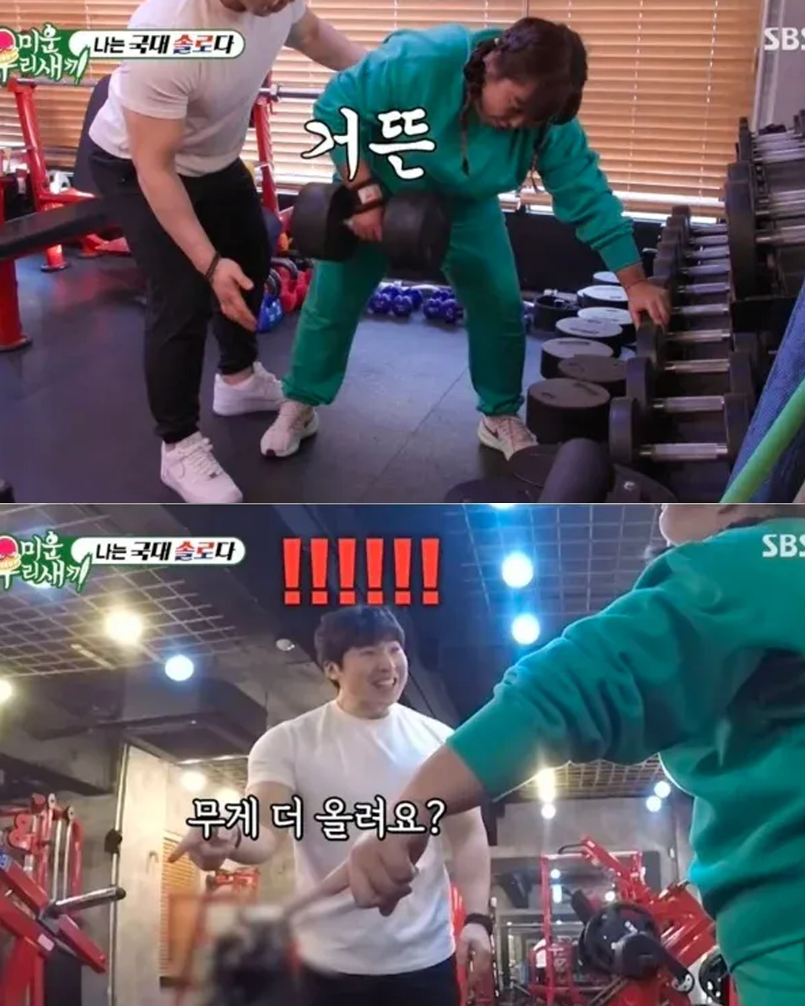 타고난 근수저 민경장군 덤벨 40KG