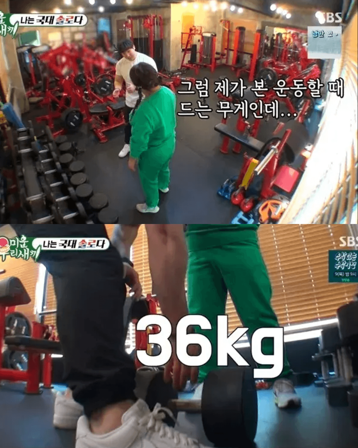 타고난 근수저 민경장군 덤벨 40KG