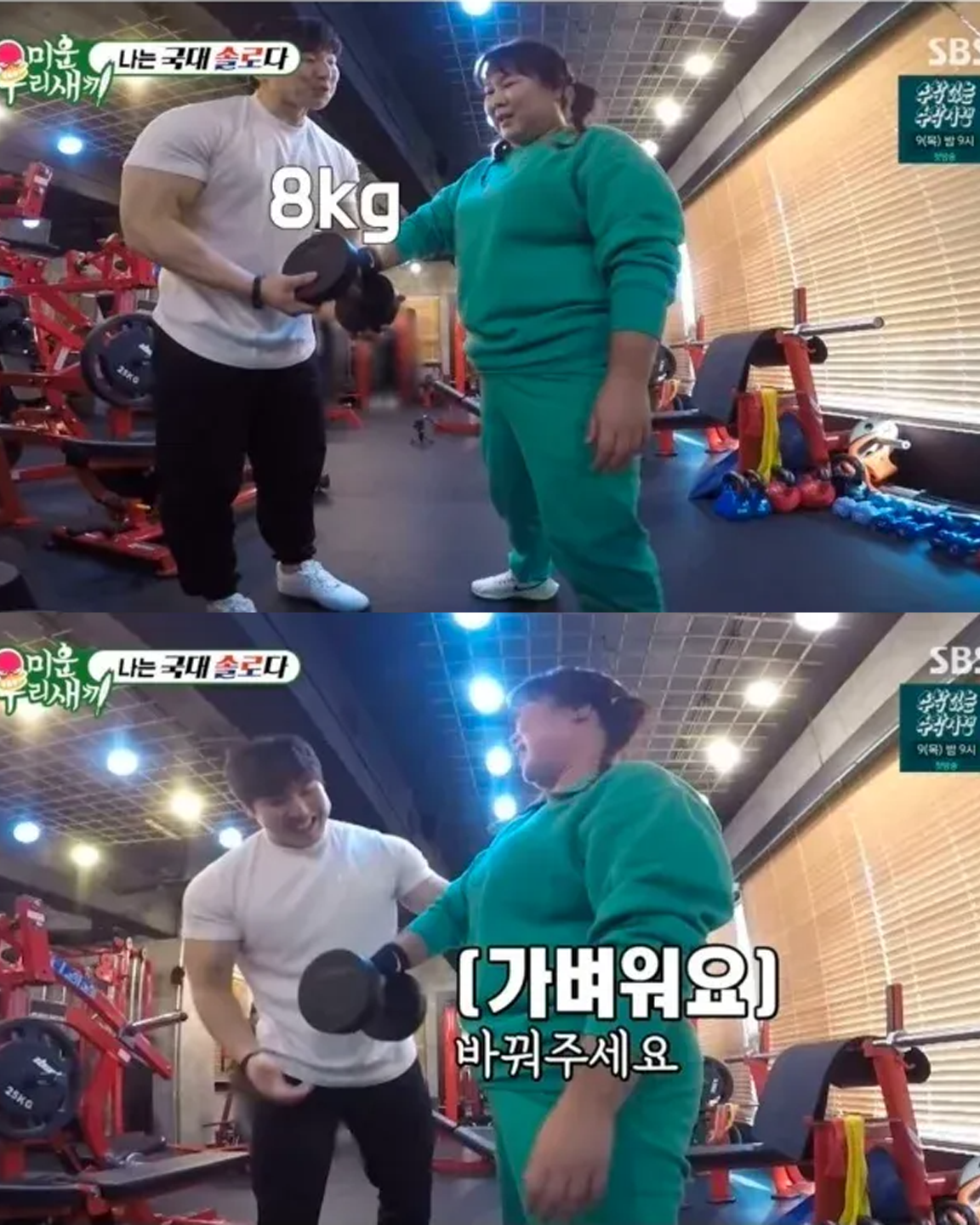 타고난 근수저 민경장군 덤벨 40KG