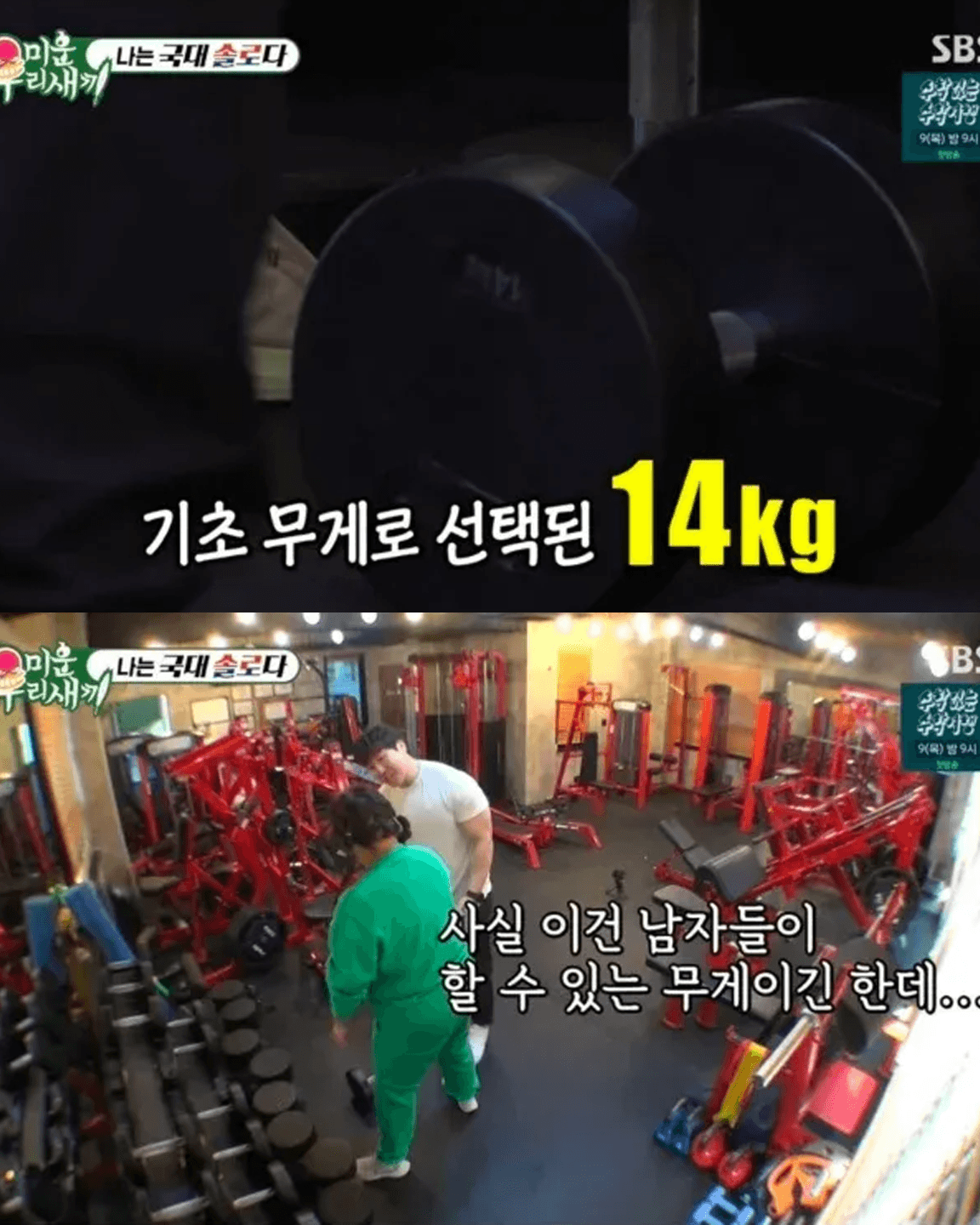 타고난 근수저 민경장군 덤벨 40KG