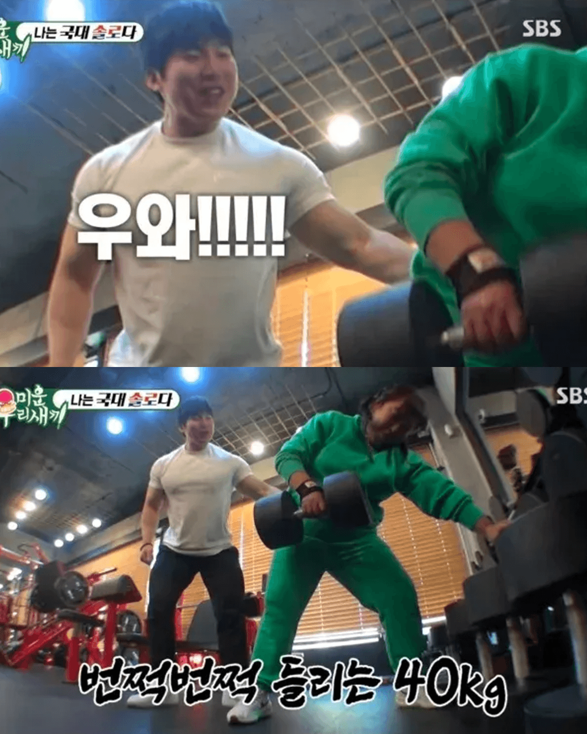 타고난 근수저 민경장군 덤벨 40KG